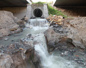 讓廢水變“活水”！鎮(zhèn)海再生水“養(yǎng)”出生態(tài)濕地公園